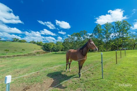 Property photo of 191 Lone Hand Road Eumundi QLD 4562