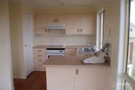 Property photo of 2228 Ridgelands Road Ridgelands QLD 4702