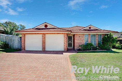 Property photo of 3 Citronelle Court Cranebrook NSW 2749