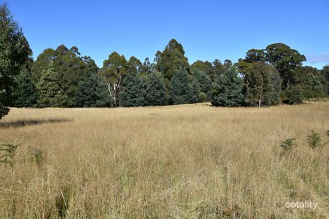 54 Bonney St, Elizabeth Town, TAS 7304