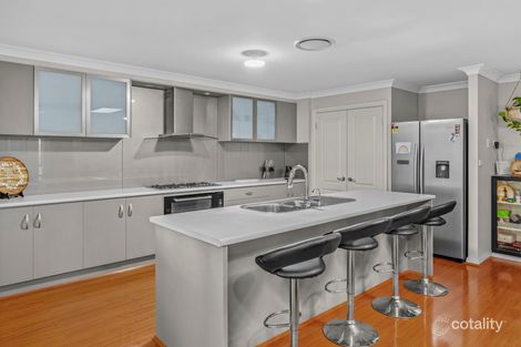 Property photo of 17 Pheasant Street Toronto NSW 2283