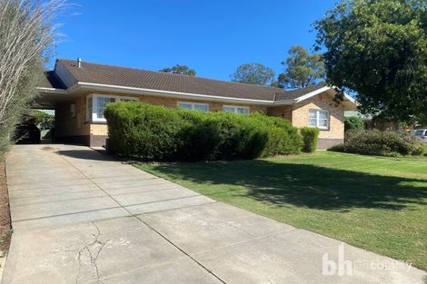 25 Powell St, Berri, SA 5343