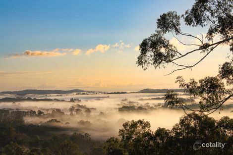 Property photo of 371 Palmwoods-Montville Road Palmwoods QLD 4555