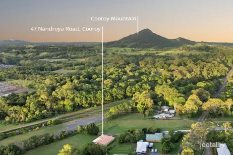 Property photo of 47 Nandroya Road Cooroy QLD 4563