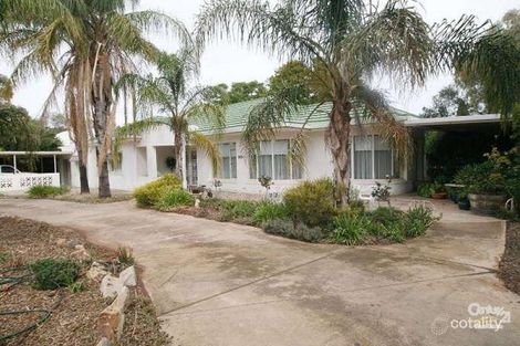 444-446 The Terrace, Risdon Park, SA 5540