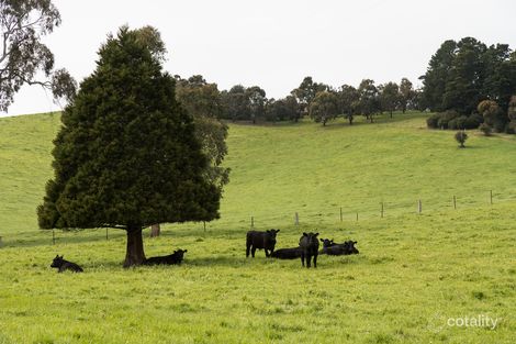 Property photo of 70 Webbs Lane Taggerty VIC 3714