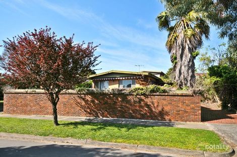 Property photo of 10 Illuka Crescent Mount Waverley VIC 3149