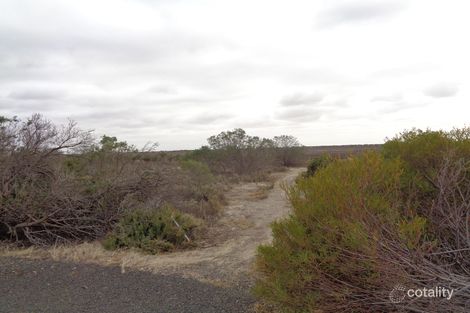 7 Skua Ct, Thompson Beach, SA 5501