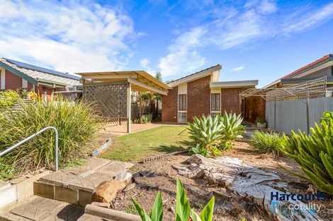 Property photo of 31B McNamara Street Modbury Heights SA 5092