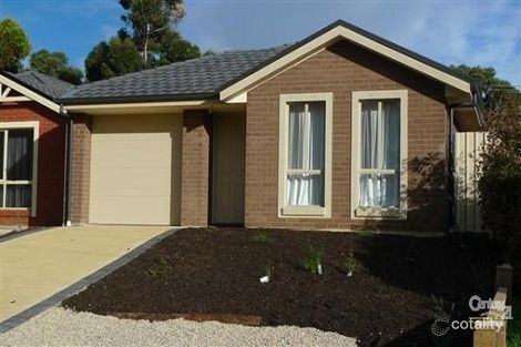 7 Faehse St, Modbury, SA 5092