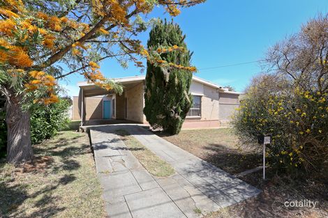 Property photo of 64 Cresdee Road Campbelltown SA 5074