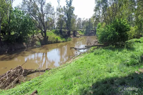 Wandary Lane, Forbes, NSW 2871