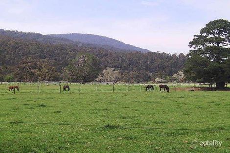 Property photo of 58 Cavanagh Road Millgrove VIC 3799