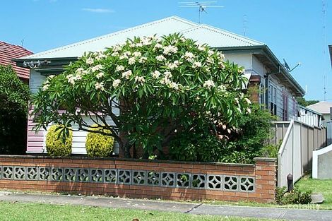 Property photo of 32 Phillips Street Hamilton North NSW 2292