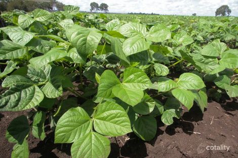 259 Airport Rd, Monto, QLD 4630