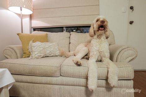 Property photo of 4/7 Clarence Street Tuart Hill WA 6060