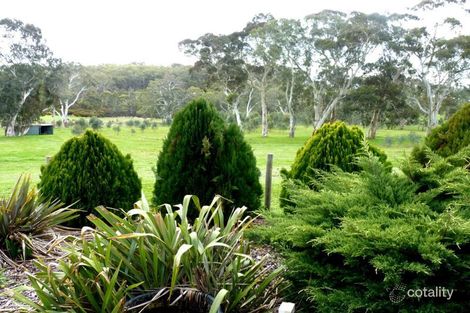 45 Field Rd, Jupiter Creek, SA 5153