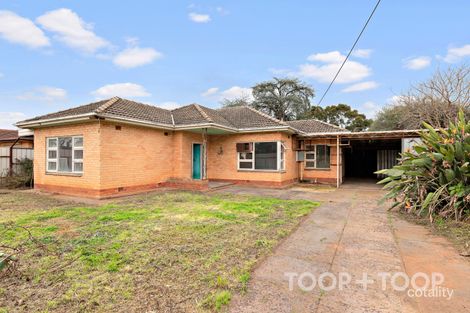 14 Walker Ave, Paradise, SA 5075