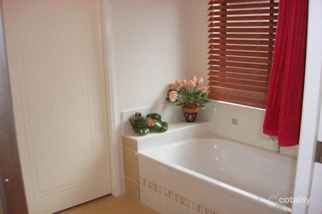 Property photo of 6 White Oak Avenue Mossman QLD 4873