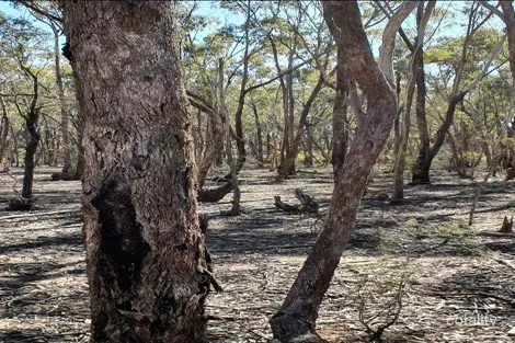 Property photo of 70A Goddards Road Myers Flat VIC 3556