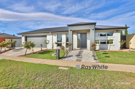 Property photo of 41 Rita Drive Mildura VIC 3500