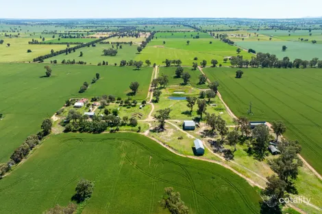 510 Munyaplah Settlement Rd, Alma Park, NSW 2659