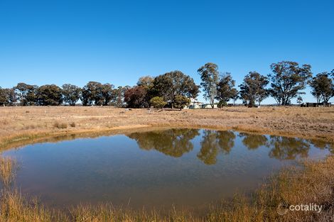 485 Cope Rd, Stubbo, NSW 2852