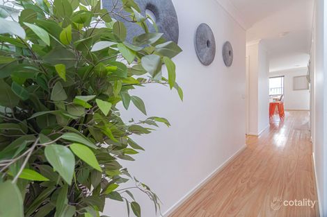 Property photo of 19 Bluebell Drive Craigieburn VIC 3064