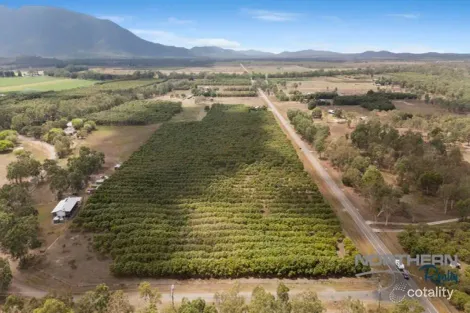 2842 Woodstock Giru Rd, Majors Creek, QLD 4816