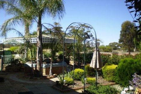 Property photo of 127 Walker Street Trayning WA 6488