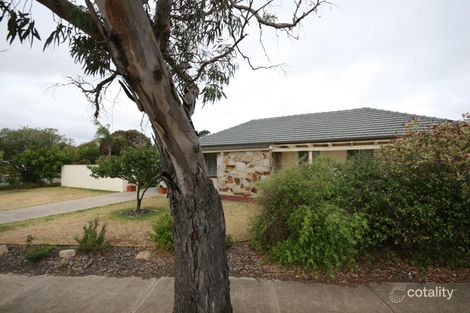 19 Boyle St, Marion, SA 5043
