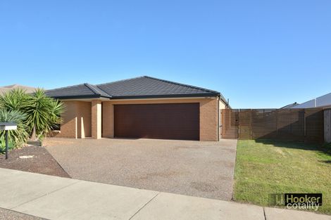 17 Mistfly St, Chisholm, NSW 2322