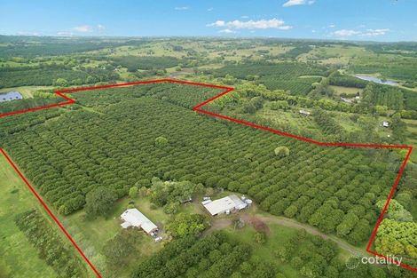 472 Cowlong Rd, Mcleans Ridges, NSW 2480