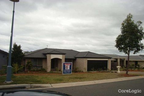 Property photo of 18 Leopardwood Circuit Robina QLD 4226