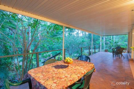 Property photo of 33 Blackbean Court Black Mountain QLD 4563