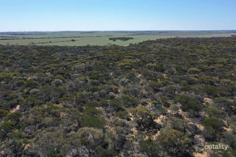 Ellery Rd, South Burracoppin, WA 6421