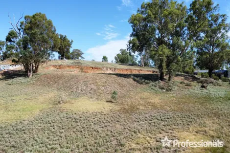 Property photo of 32 Matilda Crescent Gumly Gumly NSW 2652