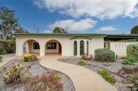 Property photo of 10 Merritt Avenue Berri SA 5343