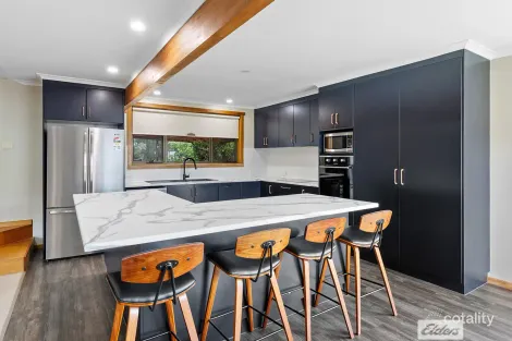 Property photo of 978 Ridgley Highway Ridgley TAS 7321