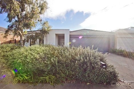 Property photo of 36 Prominence Boulevard Tarneit VIC 3029