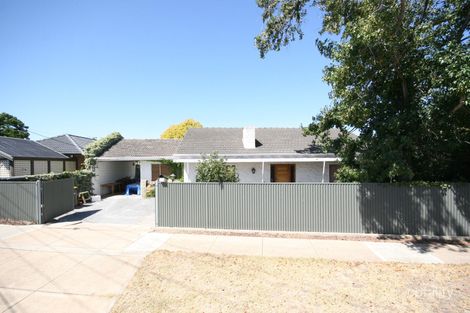 Property photo of 15 Beare Avenue North Plympton SA 5037