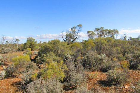 Lot 106 Lovers Lane, Morgan, SA 5320