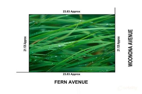 58 Woonona Ave, Wahroonga, NSW 2076