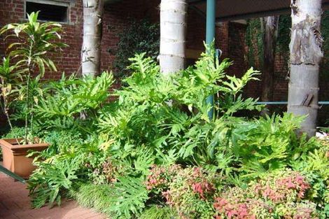 Property photo of 91/9 East Terrace Adelaide SA 5000