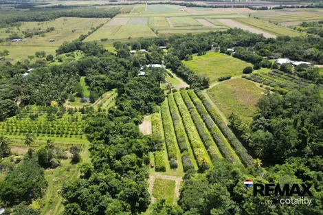 545 East Feluga Rd, East Feluga, QLD 4854