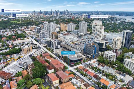 Property photo of 117 Ebley Street Bondi Junction NSW 2022