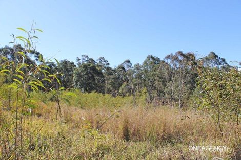 Property photo of 48 John Lane Road Yarravel NSW 2440