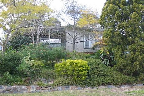 Property photo of 19 Arnold Street Charlestown NSW 2290