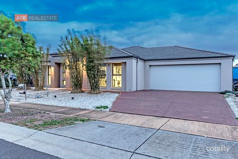 Property photo of 3 Spoonbill Close Williams Landing VIC 3027