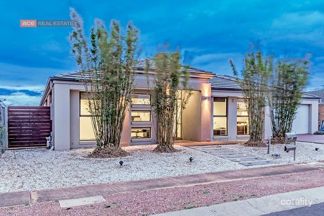 Property photo of 3 Spoonbill Close Williams Landing VIC 3027